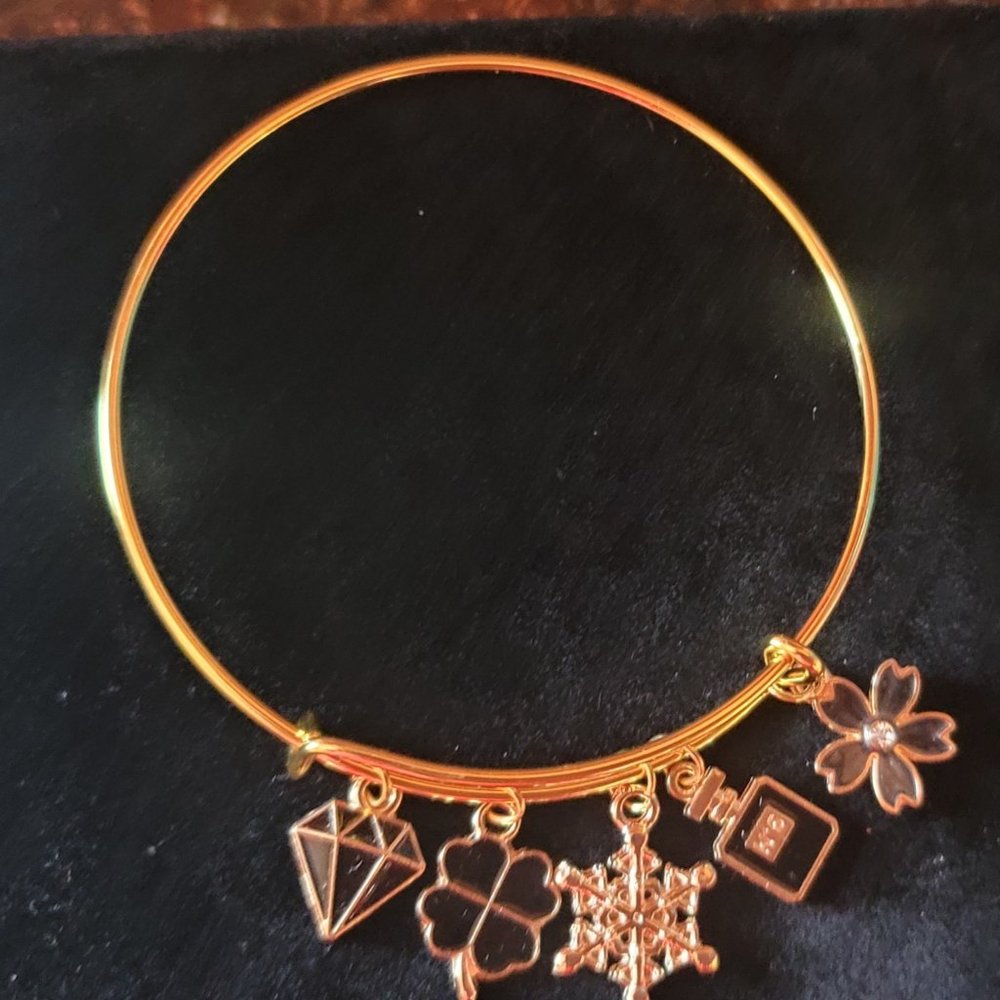 Wire Bangle Adjustable Expandable Charm Bracelet (hand-crafted)